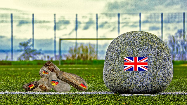 明的案例 明的案例