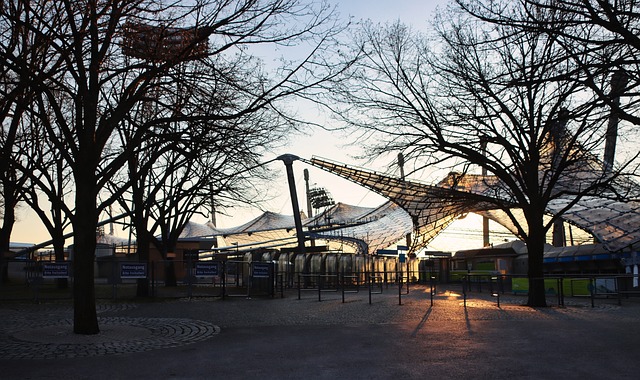 仅悼念这一 仅悼念这一