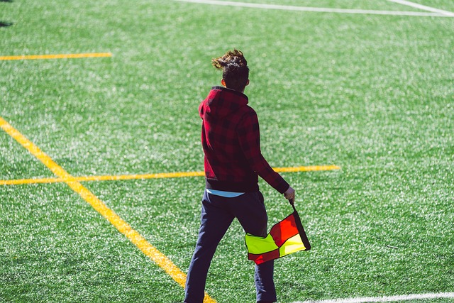 分析过去几 分析过去几